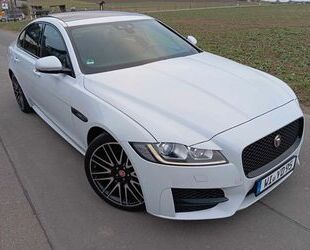 Jaguar XF Gebrauchtwagen