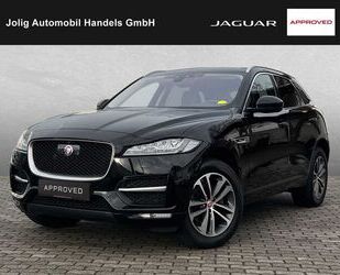 Jaguar F-Pace Gebrauchtwagen