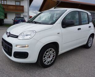 Fiat Panda Gebrauchtwagen
