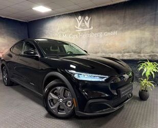 Ford Mustang Mach-E Gebrauchtwagen