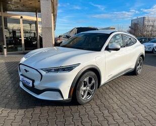 Ford Mustang Mach-E Gebrauchtwagen