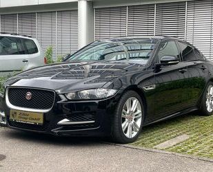 Jaguar XE Gebrauchtwagen
