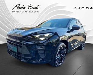 Cupra Terramar Gebrauchtwagen