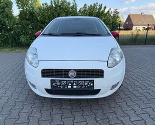 Fiat Punto Gebrauchtwagen