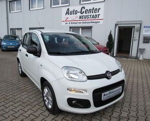 Fiat Panda Gebrauchtwagen