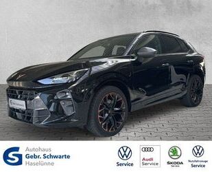Cupra Terramar Gebrauchtwagen