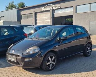 Fiat Punto Gebrauchtwagen
