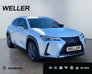 Lexus UX Gebrauchtwagen