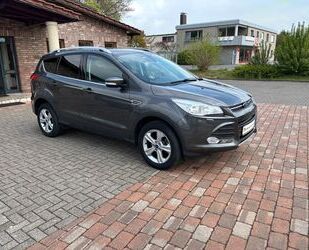 Ford Kuga Gebrauchtwagen