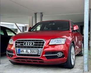 Audi SQ5 Gebrauchtwagen