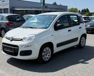 Fiat Panda Gebrauchtwagen