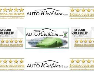 Skoda Fabia Gebrauchtwagen