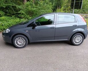 Fiat Punto Gebrauchtwagen