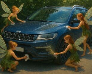 Jeep Compass Gebrauchtwagen
