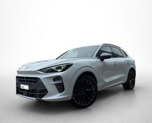 Cupra Terramar Gebrauchtwagen