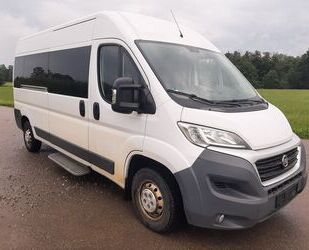Fiat Ducato Gebrauchtwagen