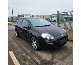 Fiat Punto Gebrauchtwagen