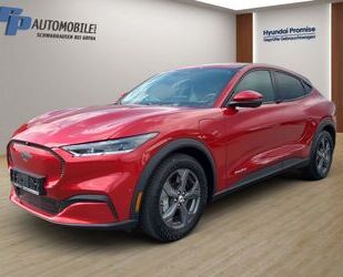 Ford Mustang Gebrauchtwagen