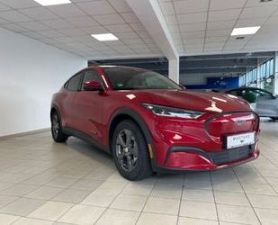 Ford Mustang Mach-E Gebrauchtwagen