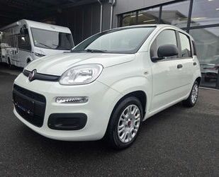 Fiat Panda Gebrauchtwagen