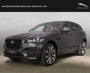 Jaguar F-Pace Gebrauchtwagen