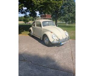 VW Käfer Gebrauchtwagen