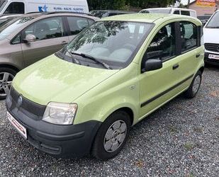 Fiat Panda Gebrauchtwagen