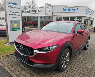 Mazda CX-30 Gebrauchtwagen