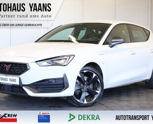 Cupra Leon Gebrauchtwagen
