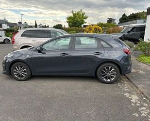 Kia ceed / Ceed Gebrauchtwagen