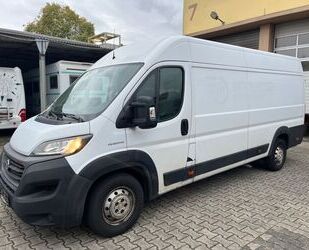 Fiat Ducato Gebrauchtwagen