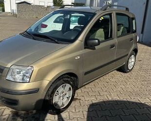 Fiat Panda Gebrauchtwagen