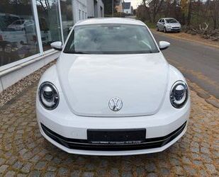 VW Beetle Gebrauchtwagen