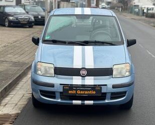 Fiat Panda Gebrauchtwagen