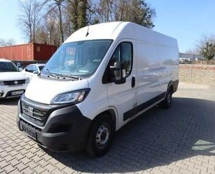 Fiat Ducato Gebrauchtwagen