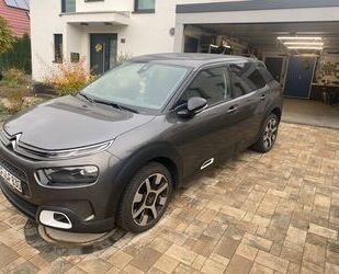 Citroen C4 Cactus Gebrauchtwagen