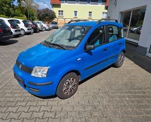 Fiat Panda Gebrauchtwagen