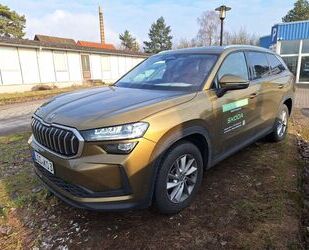Skoda Kodiaq Gebrauchtwagen