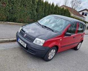 Fiat Panda Gebrauchtwagen