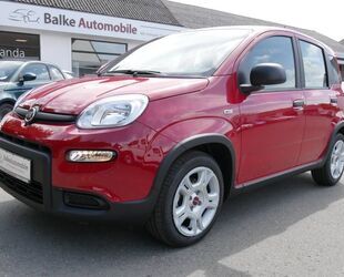 Fiat Panda Gebrauchtwagen