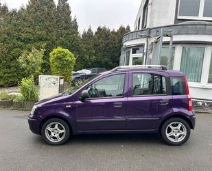 Fiat Panda Gebrauchtwagen