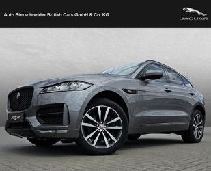 Jaguar F-Pace Gebrauchtwagen