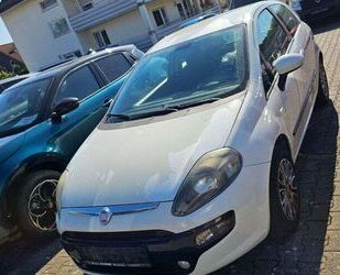 Fiat Punto Gebrauchtwagen