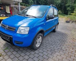 Fiat Panda Gebrauchtwagen