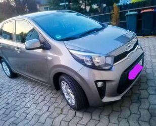 Kia Picanto Gebrauchtwagen