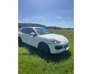 Porsche Cayenne Gebrauchtwagen