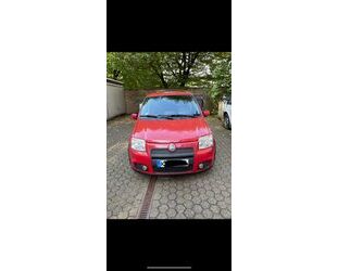 Fiat Panda Gebrauchtwagen
