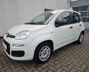 Fiat Panda Gebrauchtwagen
