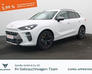 Cupra Terramar Gebrauchtwagen
