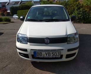 Fiat Panda Gebrauchtwagen